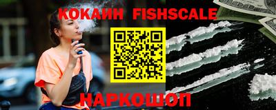 стаф Владимир