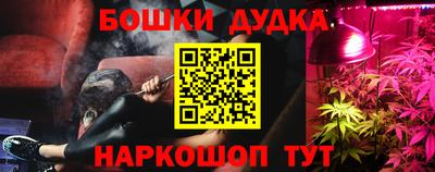 стаф Владимир