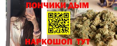 стаф Владимир