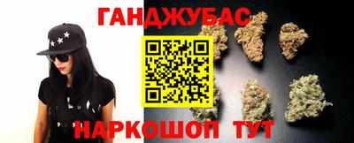 стаф Владимир