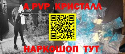 стаф Владимир
