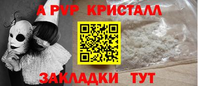 стаф Владимир