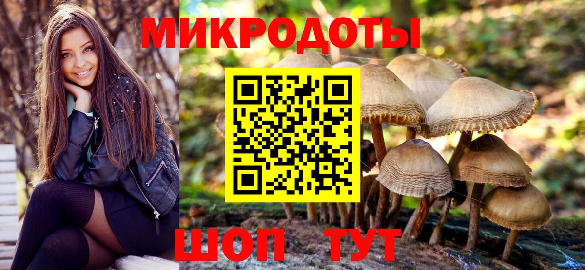 Псилоцибиновые грибы GOLDEN TEACHER Белорецк